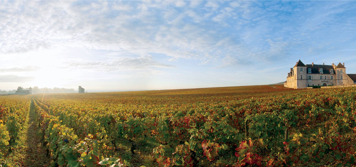 Новый апелласьон Бургундии –  Bourgogne Côte d'Or 