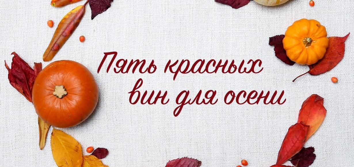 Пять красных вин для осени 