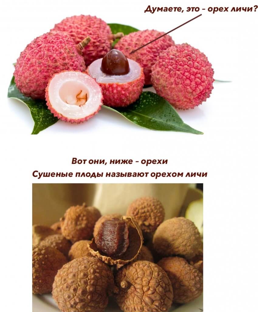 2.jpg 2.jpg
