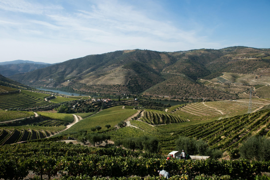 Quinta da Gricha.jpg Quinta da Gricha.jpg
