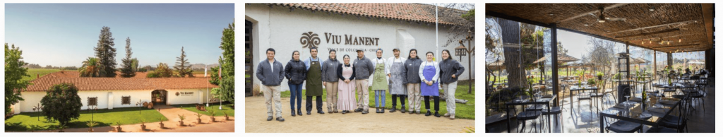 Viu Manent.jpg Screenshot 2021-09-21 at 12.50.27.png